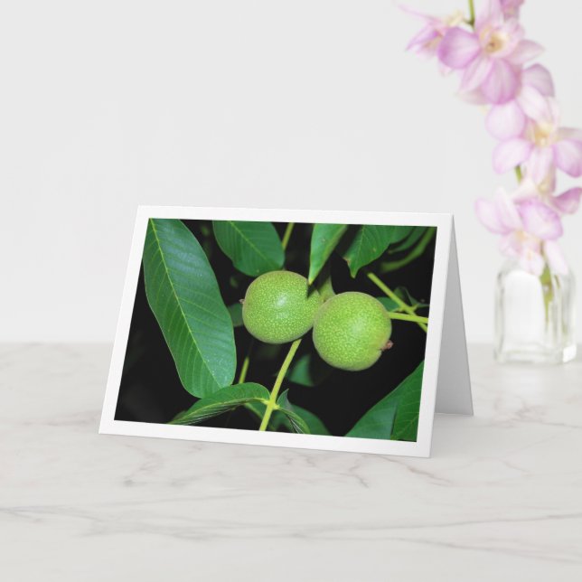 Tarjeta Retrato de árbol de nueces (Orquídea)