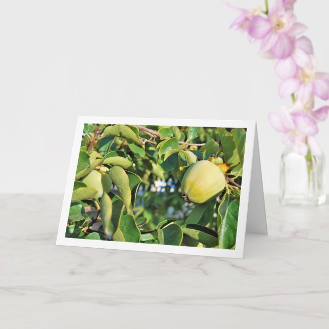 Tarjeta Retrato de árbol de Persimmon (Orquídea)