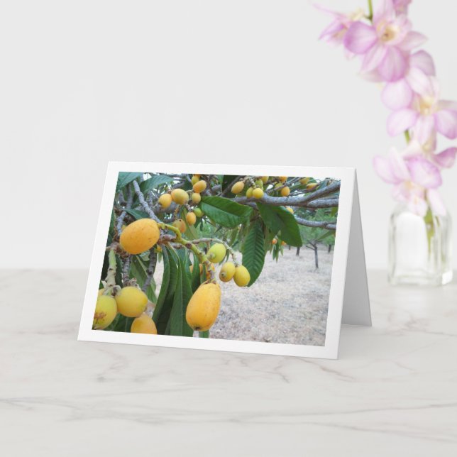 Tarjeta Retrato de árbol Loquat (Orquídea)