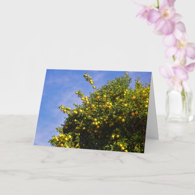 Tarjeta Retrato de árbol Naranja mandarín (Orquídea)