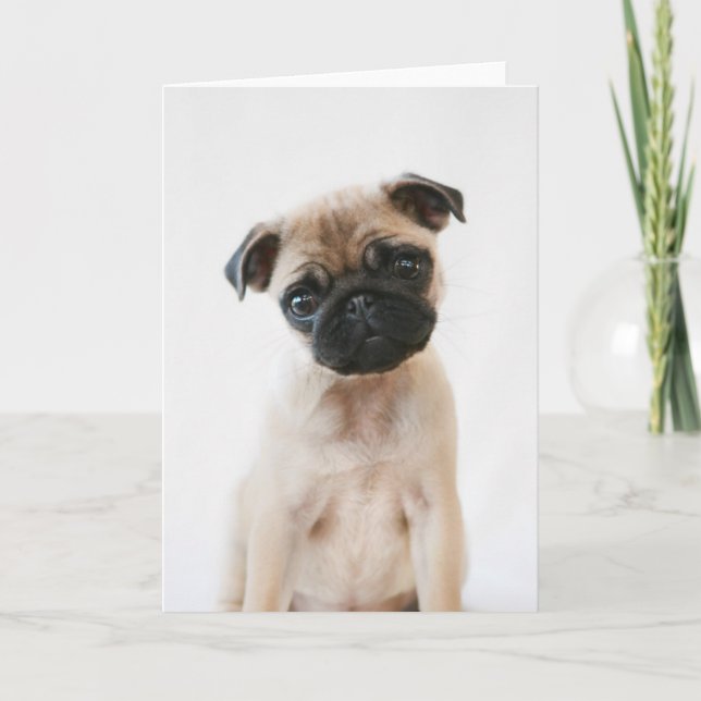 Tarjeta Retrato de Baby Pug (Anverso)