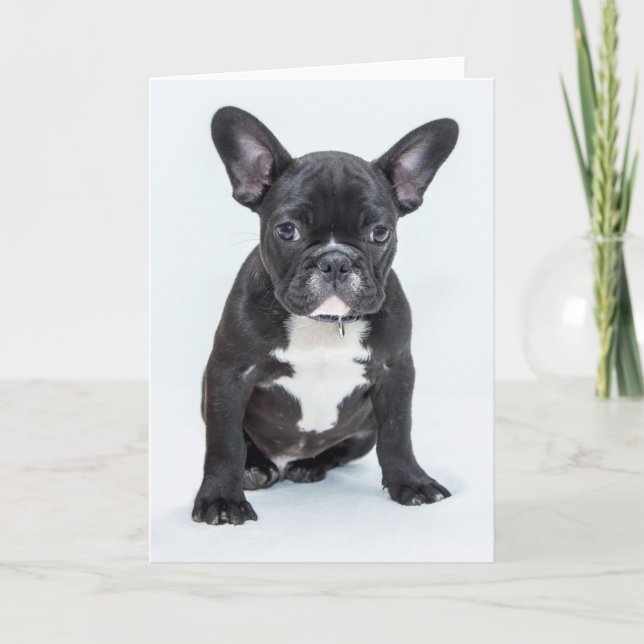 Tarjeta Retrato de Bulldog francés (Anverso)