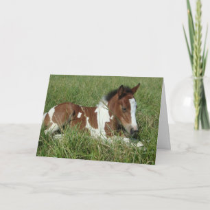 Tarjeta - Retrato de caballo