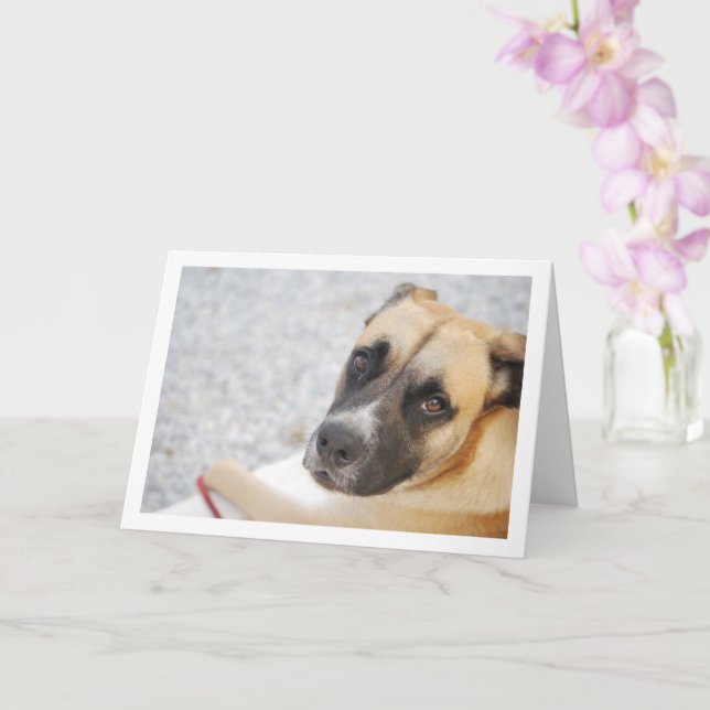Tarjeta Retrato de Cachorro Adorable (Orquídea)