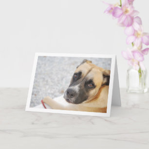 Tarjeta Retrato de Cachorro Adorable
