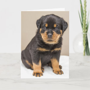 Tarjeta Retrato de cachorro de Rottweiler