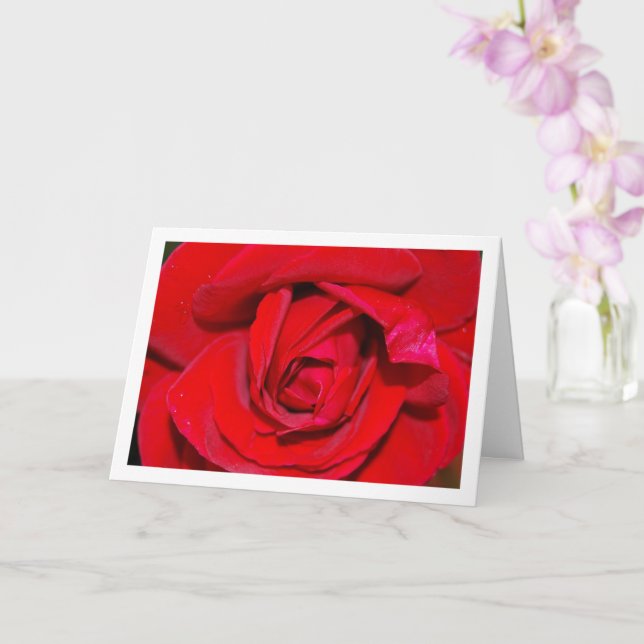 Tarjeta Retrato de cierre de Rosa Roja (Orquídea)
