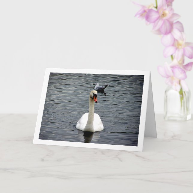 Tarjeta Retrato de cisne (Orquídea)