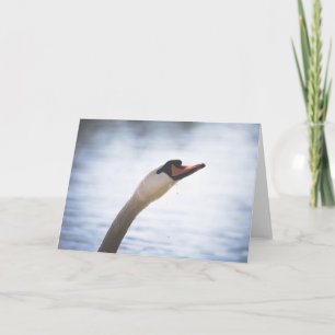 Tarjeta Retrato de cisne mudo
