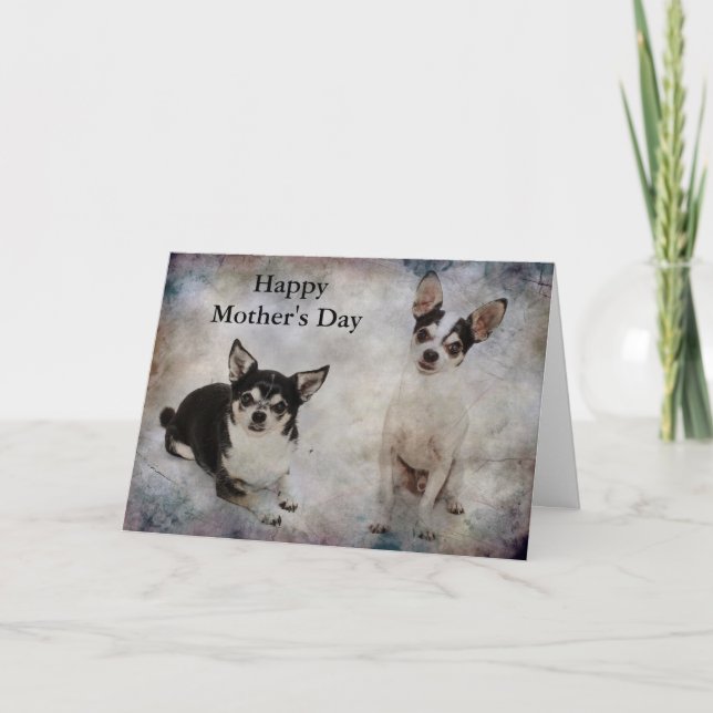 Tarjeta Retrato de dos chihuahuas (Anverso)
