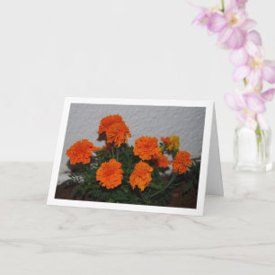 Tarjeta Retrato de Flor de Marigold Naranja Brillante
