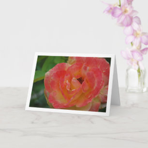 Tarjeta Retrato de flor de rosa rosa y amarilla