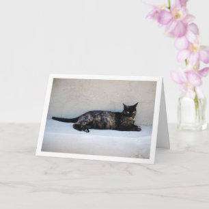 Tarjeta Retrato de gato de Tortoiseshell