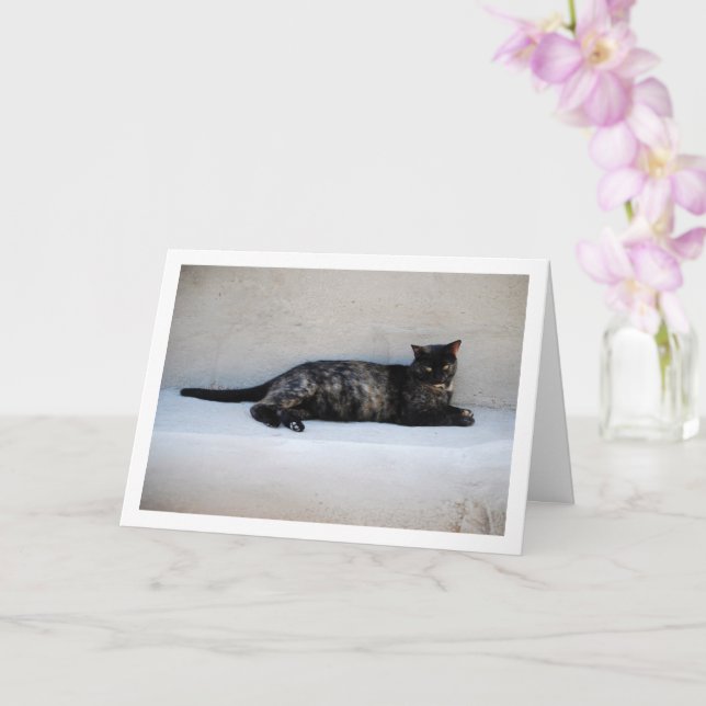 Tarjeta Retrato de gato de Tortoiseshell (Orquídea)