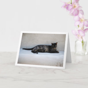 Tarjeta Retrato de gato de Tortoiseshell