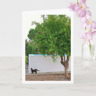 Tarjeta Retrato de gato en jardín