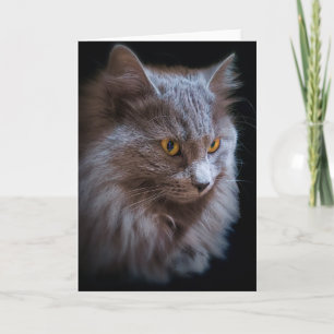 Tarjeta Retrato de gato Nebelung Azul Ruso de pelo largo 