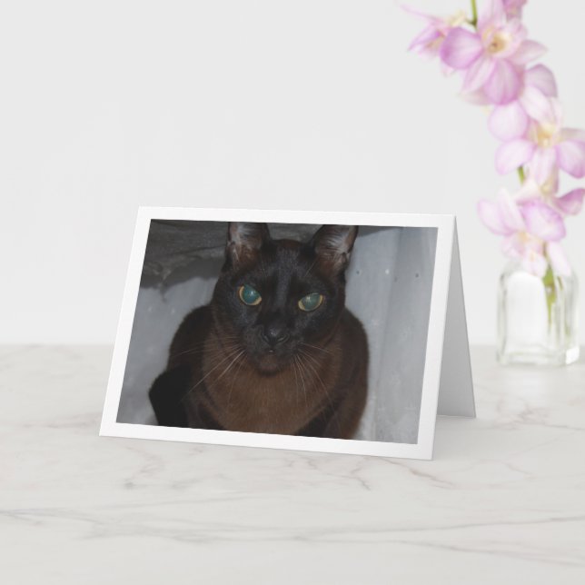 Tarjeta Retrato de gato negro (Orquídea)