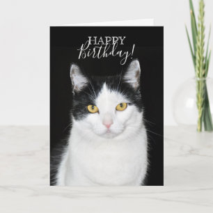 Tarjeta Retrato de gato negro y blanco