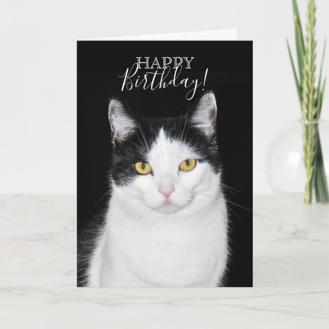 Tarjeta Retrato de gato negro y blanco (Anverso)