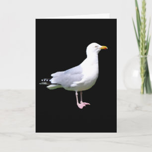 Tarjeta Retrato de Gaviota Impactante Fondo Oscuro Minimal