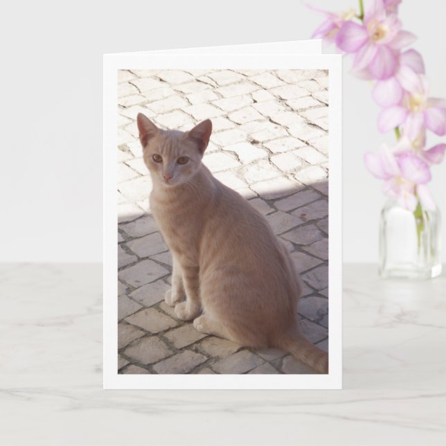 Tarjeta Retrato de Ginger Kitten (Orquídea)