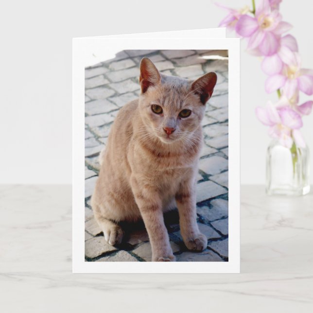 Tarjeta Retrato de Ginger Kitten (Orquídea)