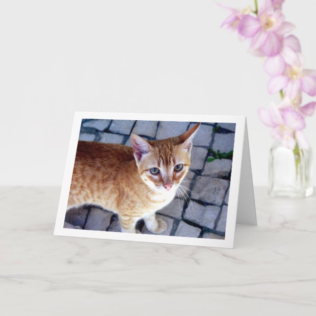 Tarjeta Retrato de Ginger Kitten (Orquídea)