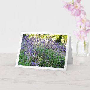 Tarjeta Retrato de lavanda silvestre