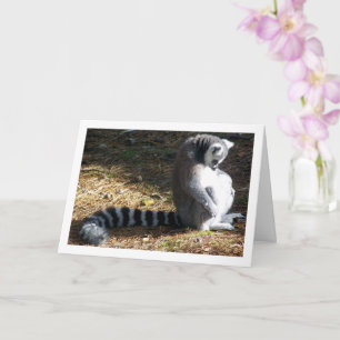 Tarjeta Retrato de lemur de cola anillada