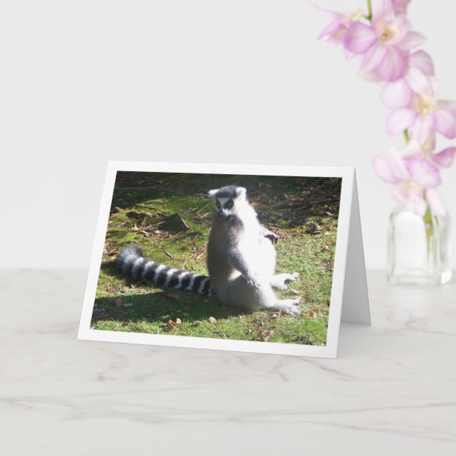 Tarjeta Retrato de lemur de cola anillada (Orquídea)