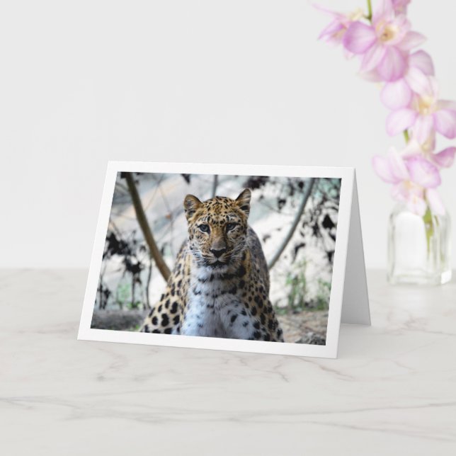 Tarjeta Retrato de leopardo (Orquídea)