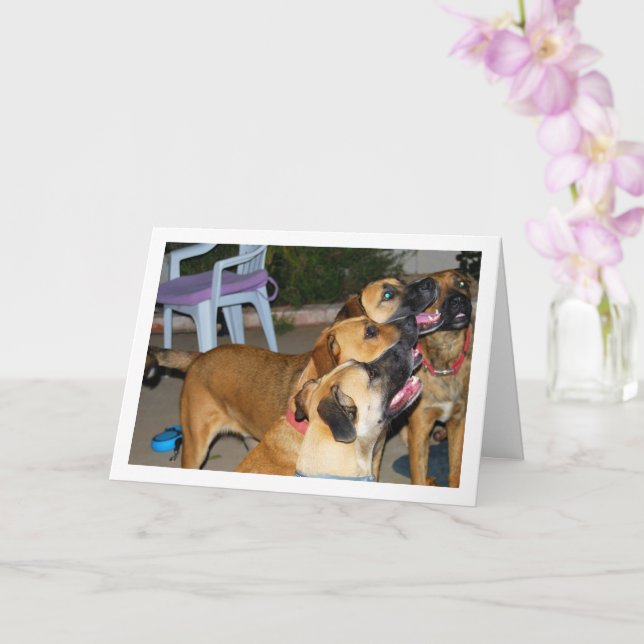Tarjeta Retrato de los perros sentados (Orquídea)