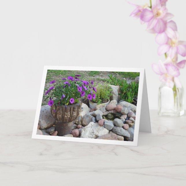 Tarjeta Retrato de margaritas africanas (Orquídea)