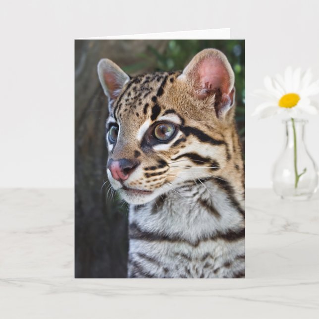 Tarjeta Retrato de Ocelot felino (Planta pequeña)