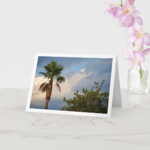 Tarjeta Retrato de palmera cielo azul