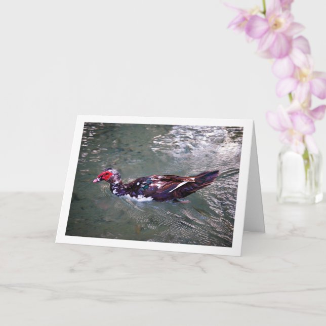 Tarjeta Retrato de pato moscovita (Orquídea)