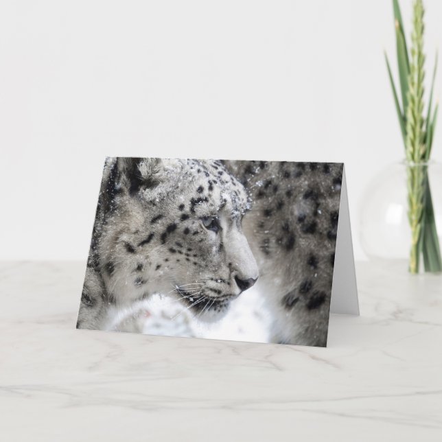 Tarjeta Retrato de perfil de leopardo de la nieve (Anverso)