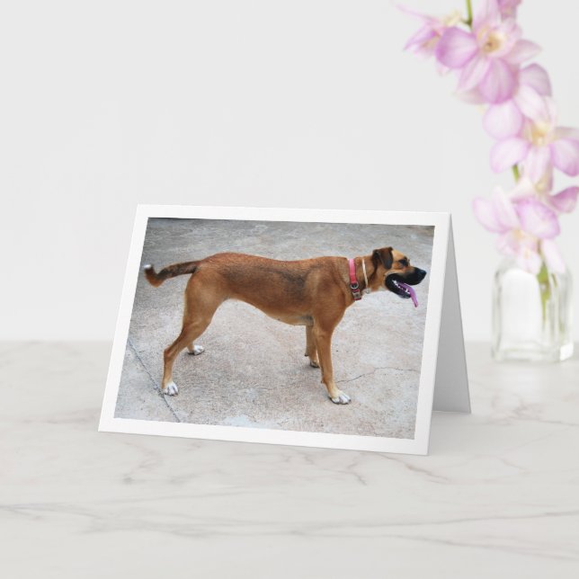 Tarjeta Retrato de perro (Orquídea)