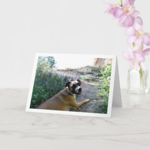 Tarjeta Retrato de perro acostado en flores silvestres
