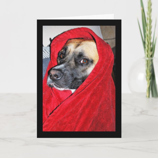 Tarjeta Retrato de perro con manta roja (Anverso)