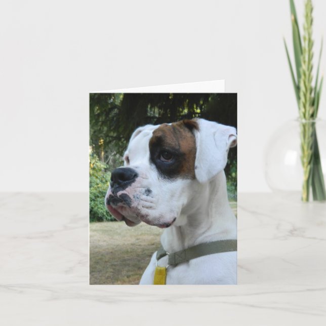 Tarjeta Retrato de perro de Boxer Blanco (Anverso)