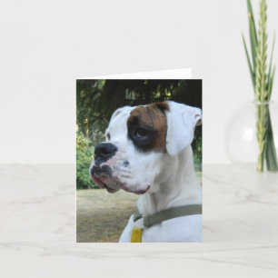 Tarjeta Retrato de perro de Boxer Blanco