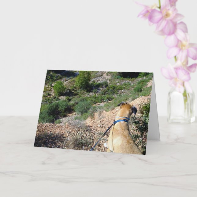 Tarjeta Retrato de perro de piel negra (Orquídea)
