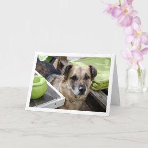 Tarjeta Retrato de Perro Dulce