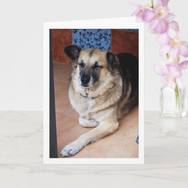 Tarjeta Retrato de perro y baldosas (Orquídea)