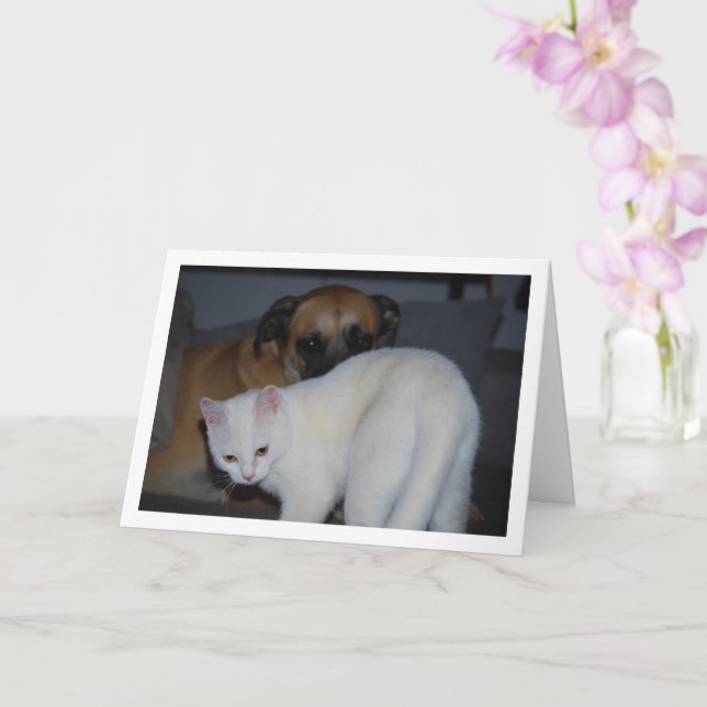 Tarjeta Retrato de perro y gatito blanco (Orquídea)