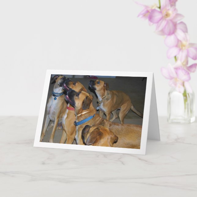 Tarjeta Retrato de perros sentados para comer (Orquídea)