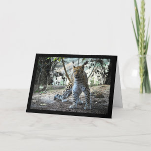Tarjeta Retrato de postura de leopardo