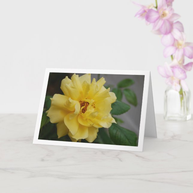 Tarjeta Retrato de Rosa Amarilla (Orquídea)